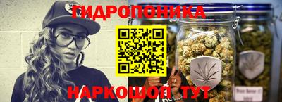 дмт Заволжье